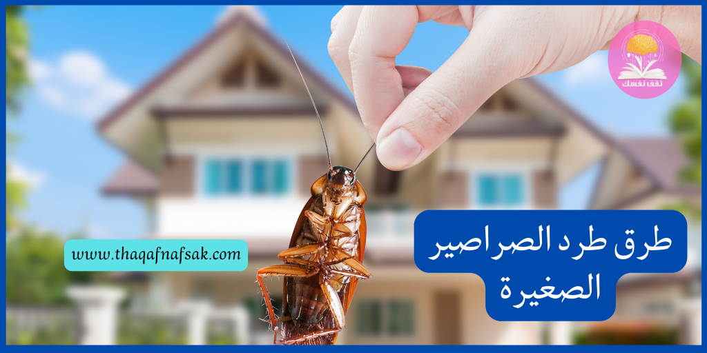 طرق طرد الصراصير الصغيرة