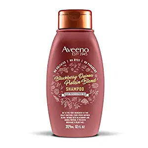 افينو بلاك بيري كينوا شامبو مزيج البروتين لحماية الشعر المصبوغ  Aveeno Blackberry Quinoa Protein Blend Shampoo for Color-Treated Hair Protection