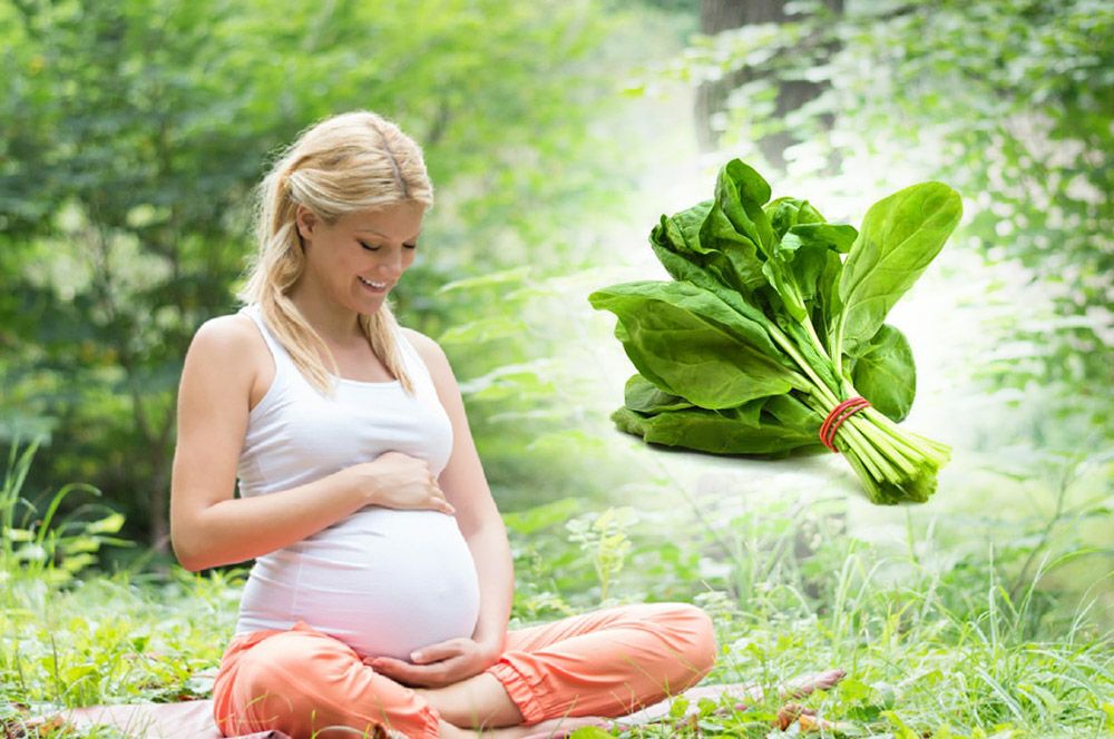 فوائد السبانخ للحامل