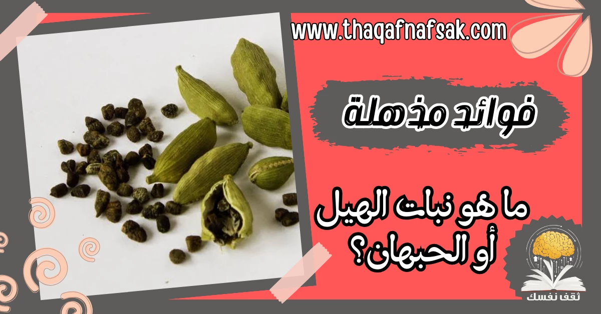 ما هو نبات الهيل أو الحبهان؟ تعرف على فوائده الصحية المذهلة