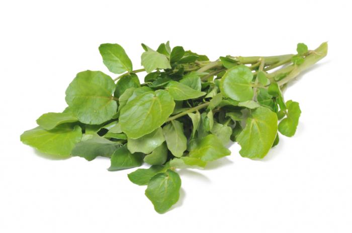 Benefits of watercress for hair