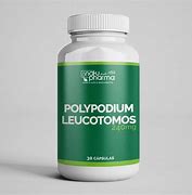 3.بوليبوديوم ليوكاتوموس Polypodium leucatomos (PL)