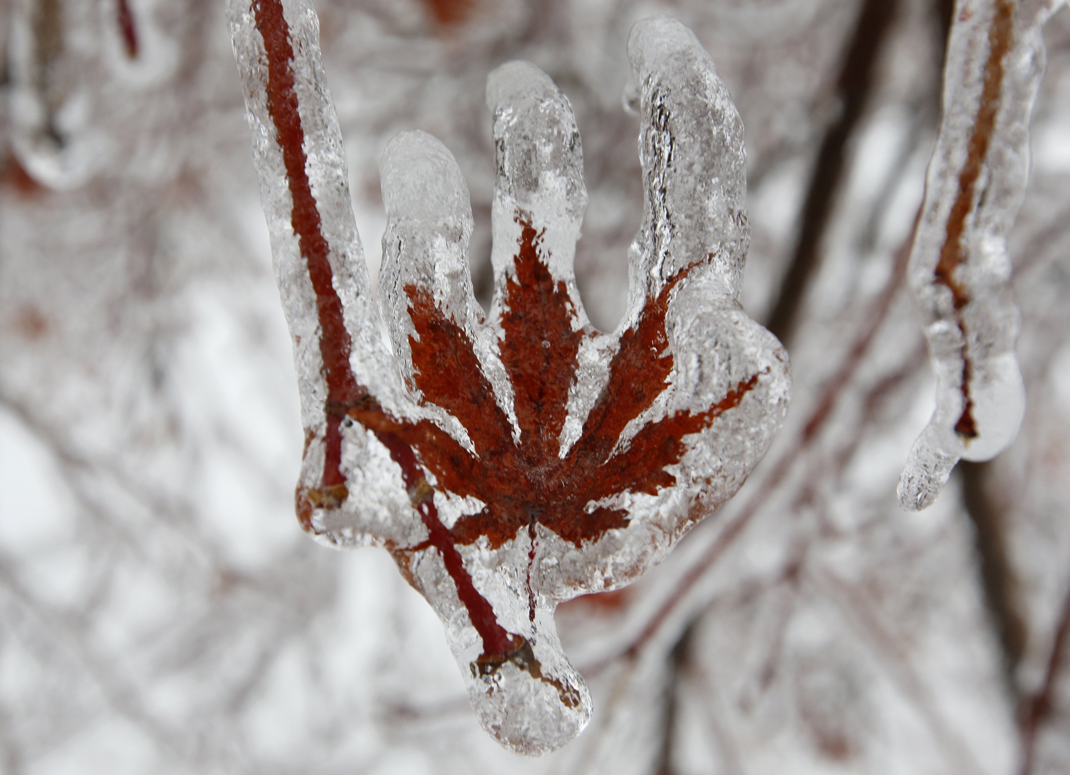 العاصفة الثلجية بكندا 2013- ثقف نفسك 7